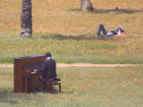 The Pianist and His Audience