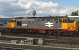Class 37 515 at Darlington 1988.