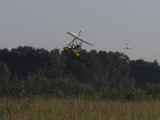Flight training with young Whooping Cranes
