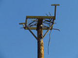 Artificial platform erected in 2011 - unused by Ospreys