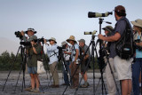 IMG_0734 Flock of Birders Salton Sea 10-15-10 LR.jpg