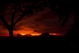 Candaba Wetlands