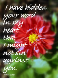 Your word is hidden in my heart