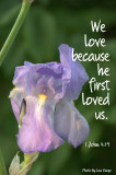 We love because