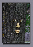 Mr. Tree