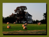 Rolling Hay