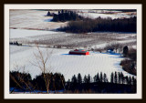 The Red Barn