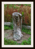 The Boot Tree Stump