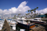 seal beach marina