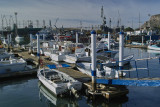 a bit of everything in the harbour