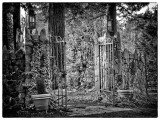 A Charles Addams fence