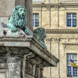 Arles, Lions & Pigeons @ Hotel de Ville
