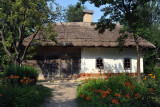 Farmstead from the village of Shyshaky, Shyshatskyi district of Poltavska Region