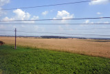 Plains of the Ukraine...good tank country