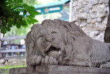 Lion at the entrance to the Gunpowder Tower, Lviv