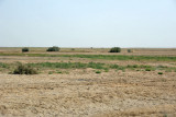 The arid plains between Ashgabat and Mary