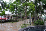 Sky Garden, Marina Bay Sands Hotel