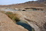 It took me 8 years of living in Dubai, but I finally made it to Hatta Pools