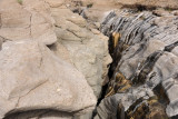 Canyon - Hatta Pools