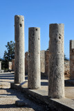 Columns - Sanctuary of Apollo