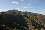 Forest covered Trodos Mountains near Kykkos Monastery