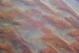 Sahara to the east of Nouakchott, Mauritania