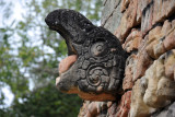Detail of the Ball Court - Macaw Head, Temple 10