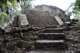 Stair leading up to Temple 11 at the top of the Acropolis of Copan