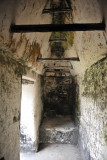 Interior chamber, Central Acropolis, Tikal
