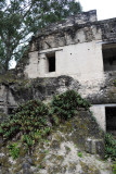 At the east end of the Central Acropolis