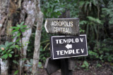 Start of the jungle trail from the Central Acropolis south across the valley to Temple V