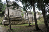 The Seven Temples from behind (East Patio) Late Classic Period 600-900 AD