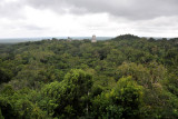 View of Tikal from the top of Temple IV made famous as the Rebel Base on the planet of Yavin in Star Wars