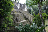 Complex P, Tikal