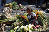 Selling flowers on the steps of Santo Toms