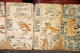 Page of the Mayan Codex Tro-Cortesianus copy of the Museo Nacional Arqueologia y Etnologia