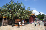 Bodhi Square, Ngong Ping Village