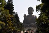 The Tian Tan Buddha is a bronze statue representing the Buddha Amoghasiddhi, one of the five Buddhas of Wisdom