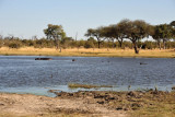 BotswanaJun12 1022.jpg