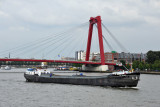 Riverboat Rio Grande with the Willemsbrug, Rotterdam