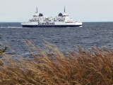 Scandlines Ferry crossing the resund