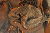 Oak coffin of a young woman from southern Jutland ca 1300 BC