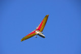 Microlight passing over the World Peace Pagoda