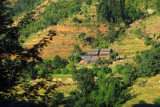 House built among terraced fields, Nepal
