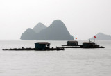 Fish farms, part of the floating village, Ca Ba Harbor, Vietnam