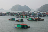 Floating village, Cat Ba Harbor