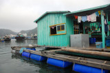Floating village, Ca Ba Harbor