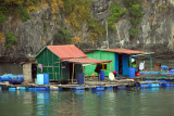 Cruising by the floating village leaving Ben Beo Harbor on Cat Ba Island