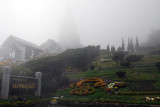 Hillside garden and Chedi of the Queen in cloud, Doi Inthanon
