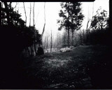 Test Exposure #3